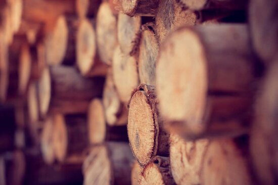 Baumstämme, aus  denen die Holz-Gartenhäuser von Finnhaus Wolff gebaut werden.